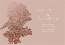 designer image 23654