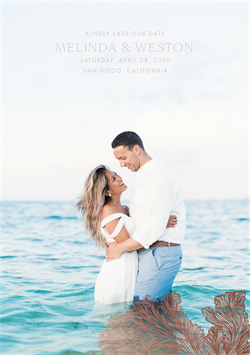 designer image 23757