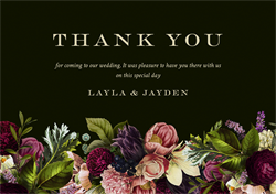 designer image 24181