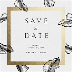 designer image 24245