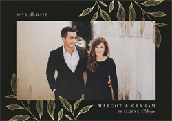 designer image 24266