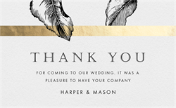 designer image 24282