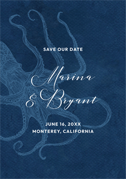 designer image 24312