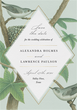 designer image 24396