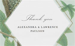 designer image 24406