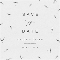 designer image 24517