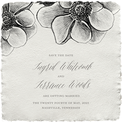 designer image 24549