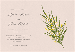 designer image 24796