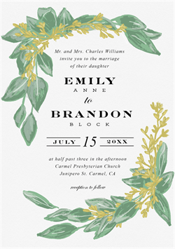 designer image 24900