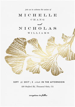 designer image 24902