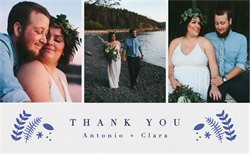 designer image 24919