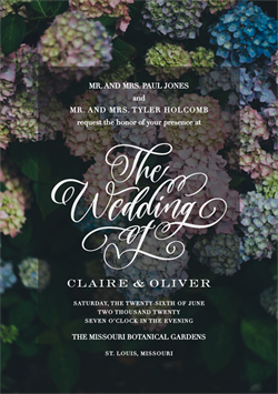 designer image 24999