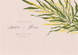 designer image 25050