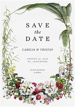 designer image 25347