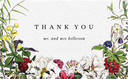 designer image 25352