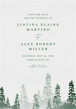 designer image 25401