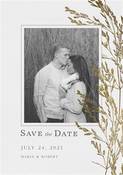 designer image 25786