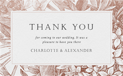 designer image 25822