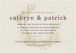 designer image 25917