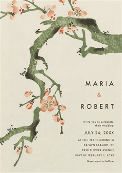 designer image 26011