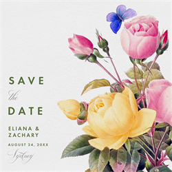 designer image 26027