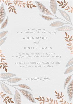 designer image 26505