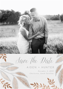 designer image 26509