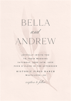 designer image 26605