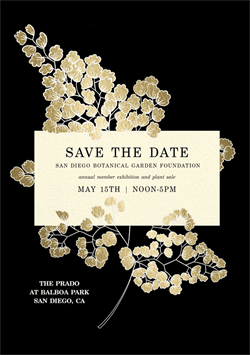 designer image 27305