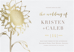 designer image 28612