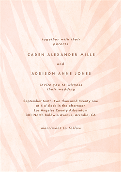 designer image 31441