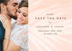 designer image 31451