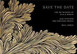 designer image 31611