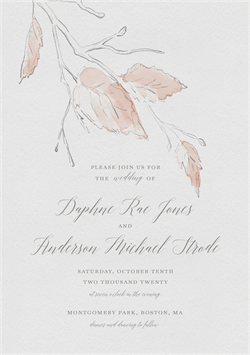 designer image 31735