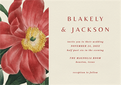 designer image 32082