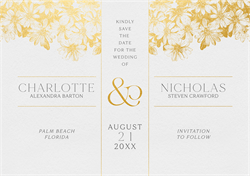 designer image 32087