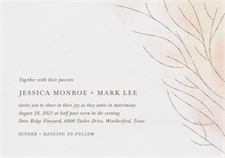 designer image 32108