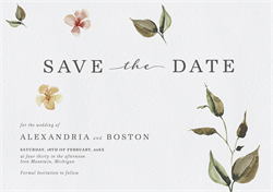 designer image 32142