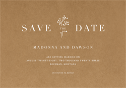 designer image 32145