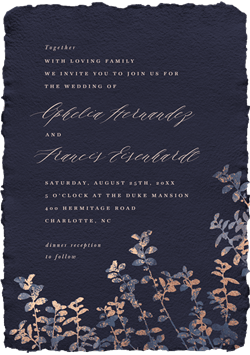 designer image 32184