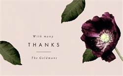 designer image 32806