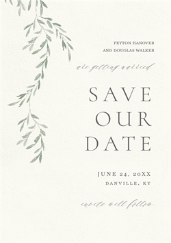 designer image 33255