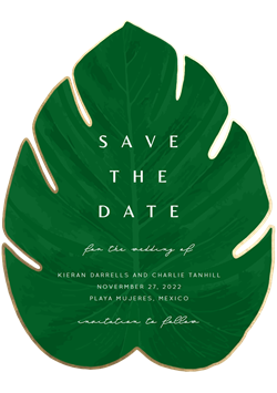 designer image 33451