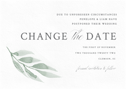 designer image 34123