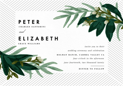 designer image 34727