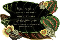 designer image 34770