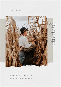 designer image 34812