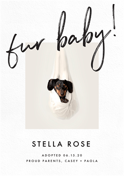 designer image 35366