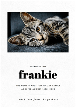 designer image 35367