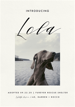 designer image 35374